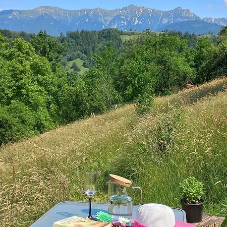 Chalet Touch The Sky Moieciu de Jos