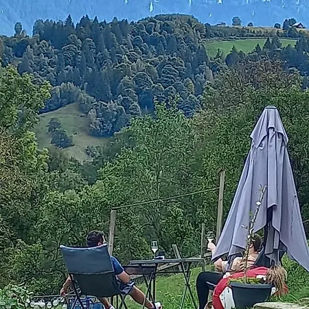 Chalet Touch The Sky Moieciu de Jos